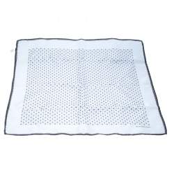 Pre Owned Ermenegildo Zegna Powder Blue Polka Dotted Silk Pocket Square