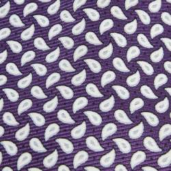 Pre Owned ربطة عنق ايرمنيجيلدو زينيا حرير مطبوع بايزلي بنفسجي