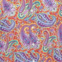 Pre Owned Etro Multicolor Paisley Printed Cotton Button Front Shirt XXL