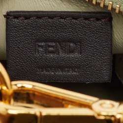 مملوكة مسبقًا Fendi Pastel Green Leather Nano Fendigraphy Bag