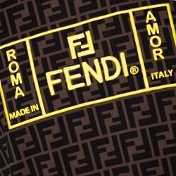 Pre Owned Fendi Brown Zucca Monogram Printed & Embroidered Cotton T-Shirt M