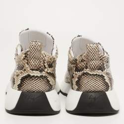 Giuseppe Zanotti Brown/Beige Python Embossed Leather Low Top Sneakers Size 42