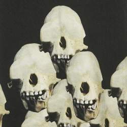 Pre Owned تي شيرت بولو جيفنشي قطن بيك أسود مطبوع جمجمة مقاس كبير جدًا (اكسترا لارج)