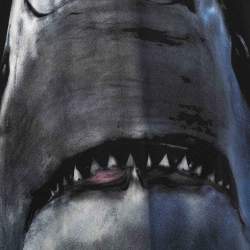 مملوكة مسبقًا تي شيرت جيفنشي تريكو قطن مطيوع سمكة قرش أسود أكمام قصيرة مقاس صغير جداً جداً (اكس اكس سمول)