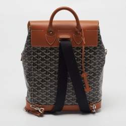 Pre Owned حقيبة ظهر جويارد ألپين جواردين كانفاس مقوى وجلد أخضر MM