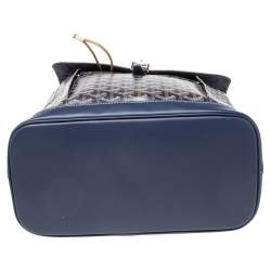 Goyard Blue Goyardine Canvas And Leather Alpin Backpack