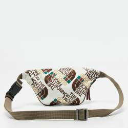 Pre Owned Gucci x The North Face Multicolor Print Nylon Belt Bag