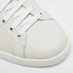 Gucci White Leather and Water Snake Ace Low Top Sneakers Size 40