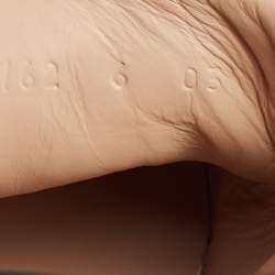 مملوكة مسبقًا حذاء رياضي غوتشي أيس جلد أسود بعنق منخفض شريط ويب مطرز نحلة مقاس 40 