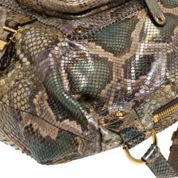 Pre Owned Gucci Beige/Green Python Large Darwin Convertible Backpack