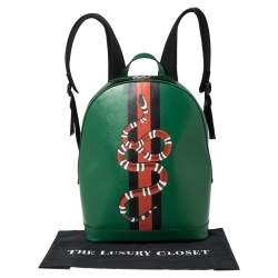 Gucci Green Snake and Web Print Leather Backpack