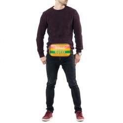 مملوكة مسبقًا Gucci Multicolor Leather 100 Belt Bag