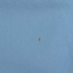 Gucci Sky Blue Cotton Button Front Shirt M 