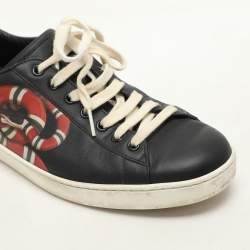 Gucci Multicolor Leather Kingsnake Ace Sneakers Size 42