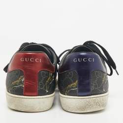 Gucci Navy Blue Coated Canvas Ace  Web Lace Up Sneakers Size 43