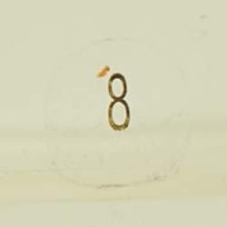Gucci Transparent Rubber Logo Slide Flat Sandals Size 42