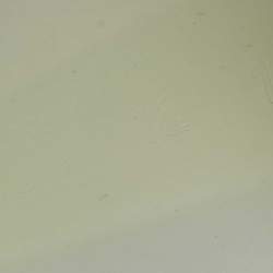 Pre Owned Gucci White Rubber Pursuit 72 Pool Slides Size 46