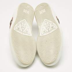مملوكة مسبقًا حذاء رياضي غوتشي آيس جلد أبيض يمر بتطريز نمر بظهر منخفض مقاس 43