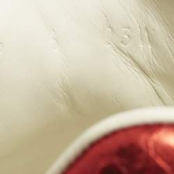 Pre Owned Gucci White Leather and Snakeskin Embossed Leather Ace Lace Up Sneakers Size 40