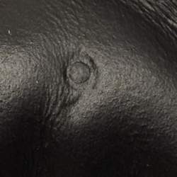 Pre Owned Gucci Ace Size 43 Black Tiger Print GG Supreme Canvas Low Top Sneakers