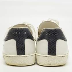 Pre Owned حذاء رياضي غوتشي أبيض جلد وثعبان منقوش ويب بالرباط مقاس 43