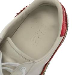 Gucci White Leather Ace Dragon Embroidered Low Top Sneakers Size 41.5
