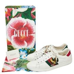 مملوكة مسبقًا Gucci White Leather Rooster Web Detail Ace Sneakers Size 45
