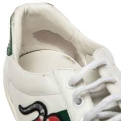 Gucci White Leather Ace Embroidered Snake Low Top Sneakers Size 44