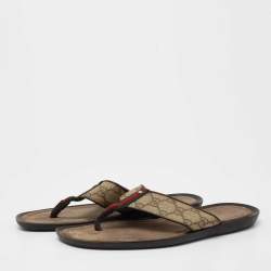 Gucci Beige/Brown GG Supreme Canvas Web Thong Flats Size 41