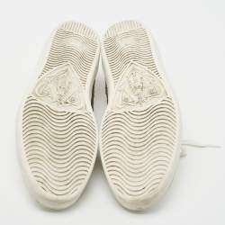 مملوكة مسبقًا Gucci White Leather Ace Dragon Embroidered Low Top Sneakers Size 43