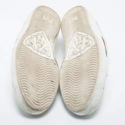 Gucci White Leather Ace Web Low Top Sneakers Size 46