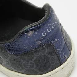 Gucci Two Tone GG Supreme Canvas Ace Sneakers Size 43