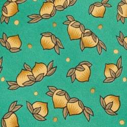 Hermes Green Hazelnut Print Silk Tie 