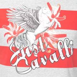 Pre Owned Just Cavalli Pink and Grey Striped Crew Neck T-Shirt XL