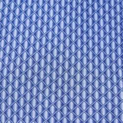 Pre Owned Lanvin Blue Print Silk Tie