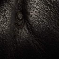 Pre Owned Lanvin Dark Blue Denim Low Top Sneakers Size 43