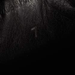 Pre Owned Lanvin Leather Navy Blue Leather Low Top Sneakers Size 41