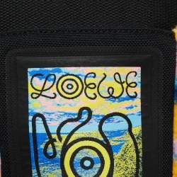 Loewe Multicolor Canvas And Shearling Fur Nature Print Chalk Bag