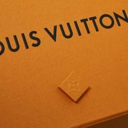 Pre Owned Louis Vuitton Blue Logo Monogram Printed Polyamide Mesh Insert Swim Shorts L