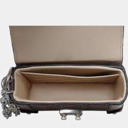 Louis Vuitton Brown Coated Canvas Essential Trunk Bag