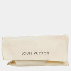 Louis Vuitton Brown Coated Canvas Essential Trunk Bag
