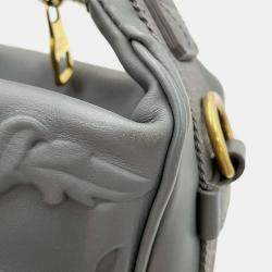 Louis Vuitton Gray Calf Leather Cruiser Messenger