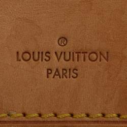 Louis Vuitton Monogram Canvas Abbesses Bag
