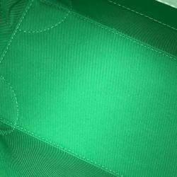 Louis Vuitton Ritter Bag Green/White Monogram Everyday Lv