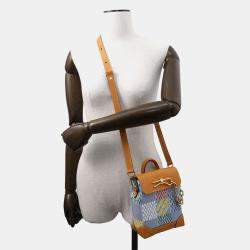 Louis Vuitton Multicolor LV Birds Damier Denim Nano Steamer Bag