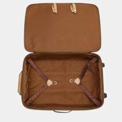 Louis Vuitton Pegase Brown Monogram Size 55