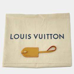 Louis Vuitton Brown Monogram Stripe Randonnee Messenger Nigo Collaboration