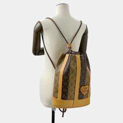 Louis Vuitton Brown Monogram Stripe Randonnee Messenger Nigo Collaboration