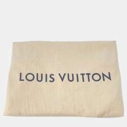 Louis Vuitton Alex Noir Taiga Leather Backpack 