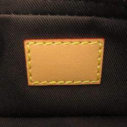 Pre Owned Louis Vuitton Dog on Strap Brown Monogram Canvas Crossbody Bag